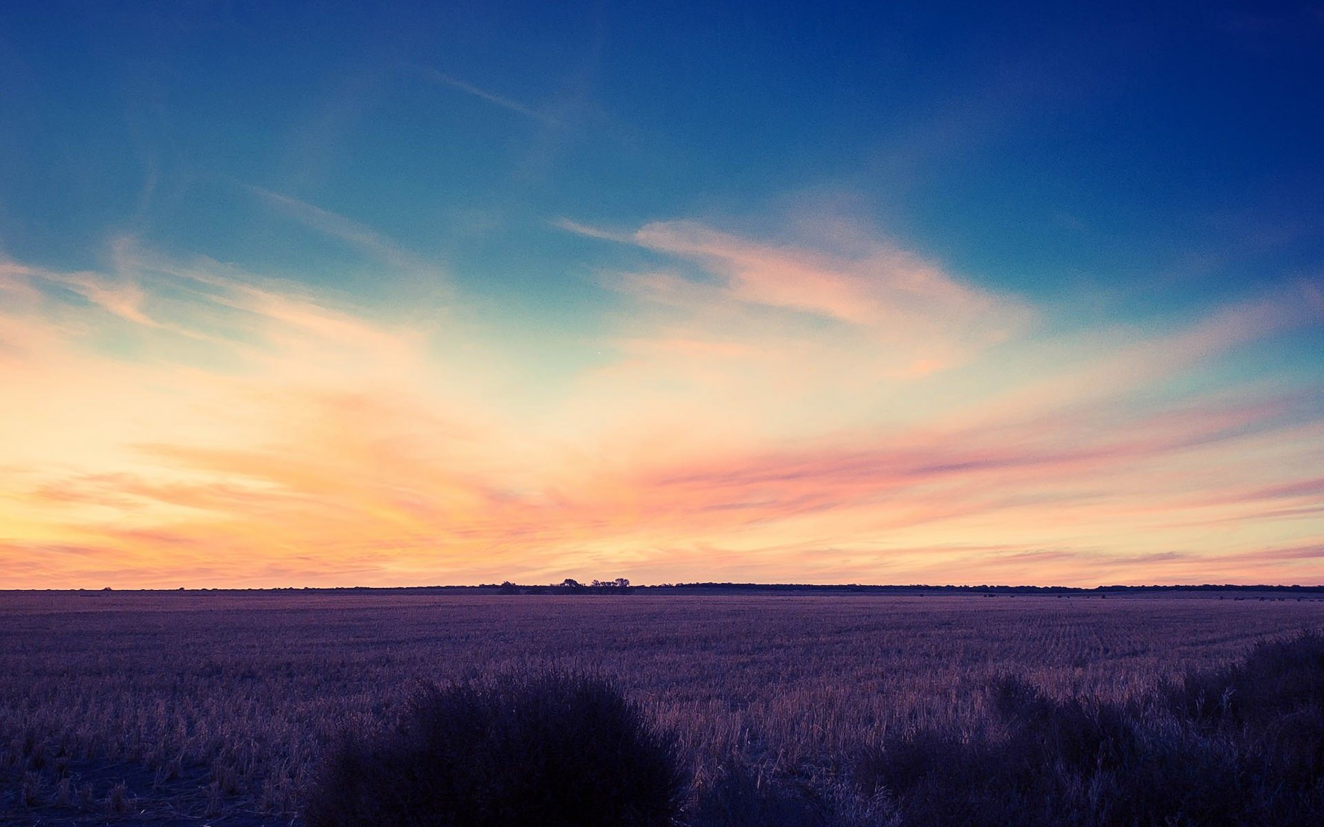 Tramonto su campo aperto, 1920x1200 Full HD+ WUXGA, Laptop