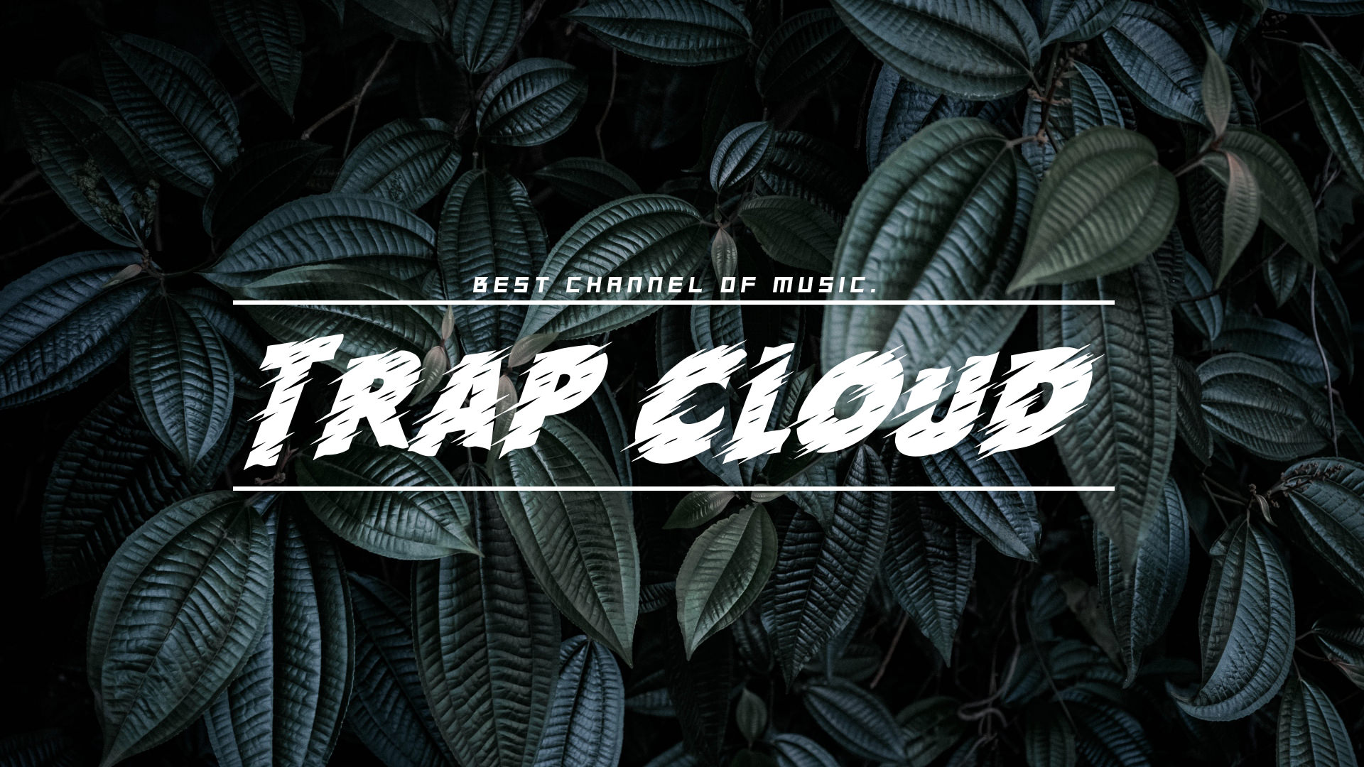 Trap Cloud foglie scure, 1920x1080 Full HD 1080p, Laptop