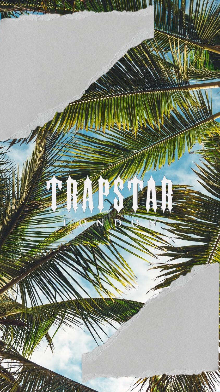 Logo Trapstar palme tropicali, 844x1500 Full HD Verticale, iPhone