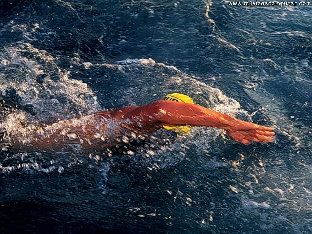 Ciclisti triathlon su strada, 3648x2056 2K, Monitor Gaming