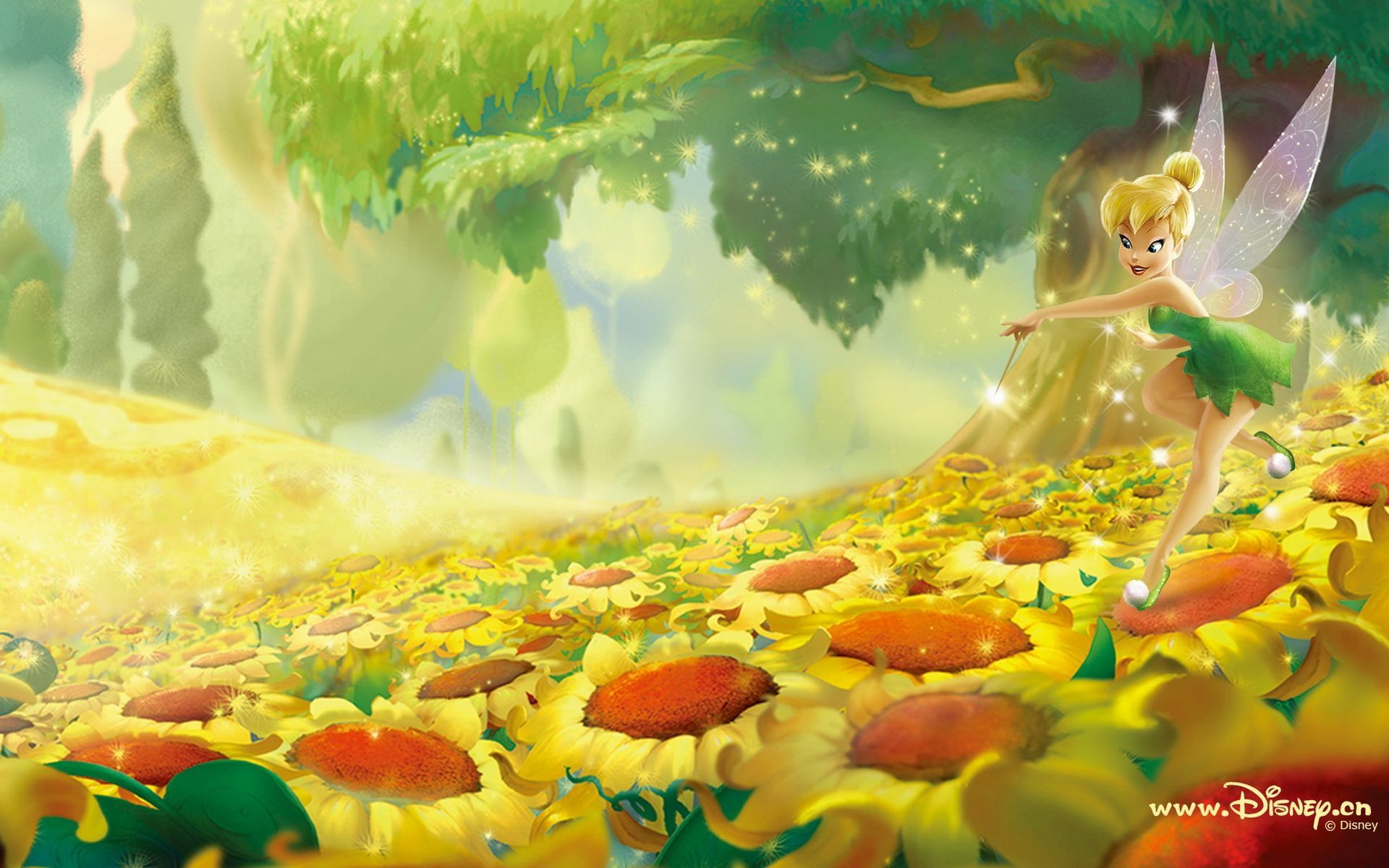 Trilli fatina tra fiori, 1920x1200 Full HD+ WUXGA, Desktop