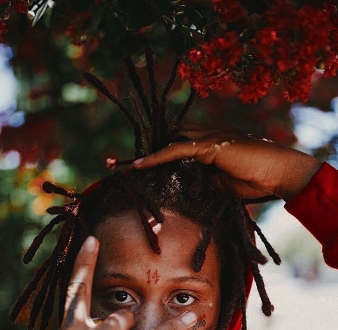Trippie Redd tra fiori rossi, 1080x1055 HD, iMac