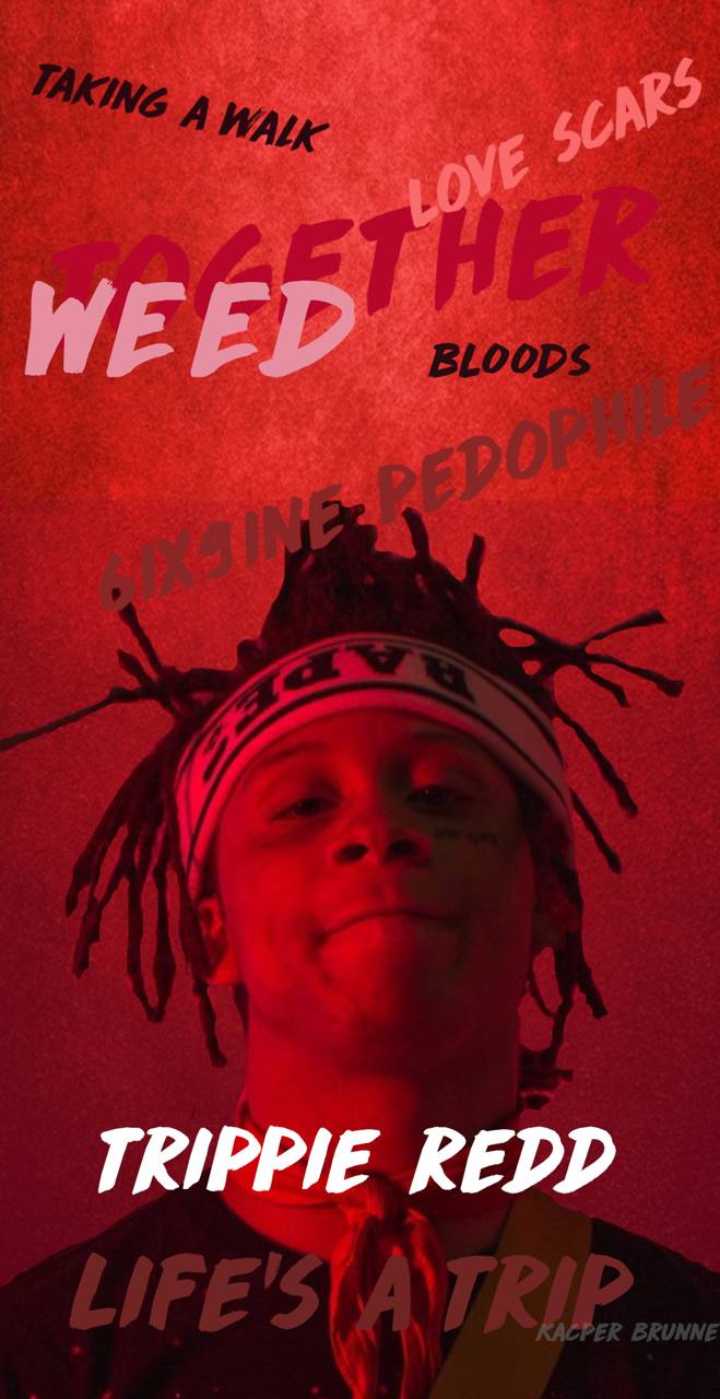 Trippie Redd concerto dal vivo, 1200x813 HD, Laptop