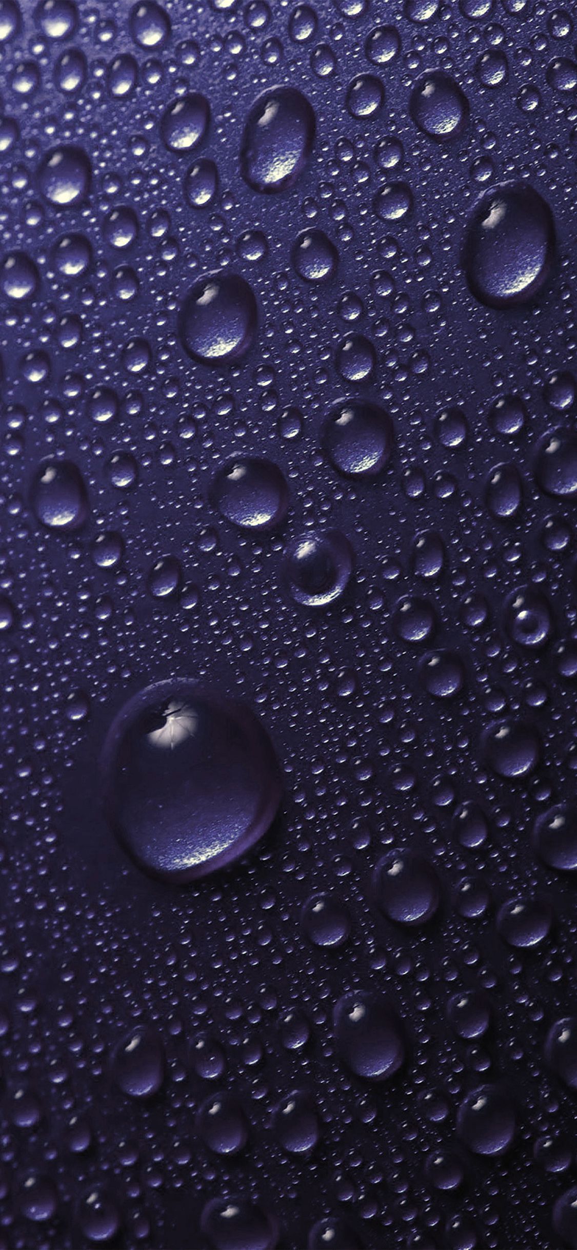 Gocce di pioggia viola, 1125x2436 Verticale, iPhone Pro