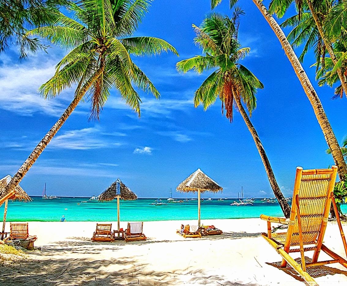 Spiaggia tropicale con palme, 1134x934 HD, Laptop