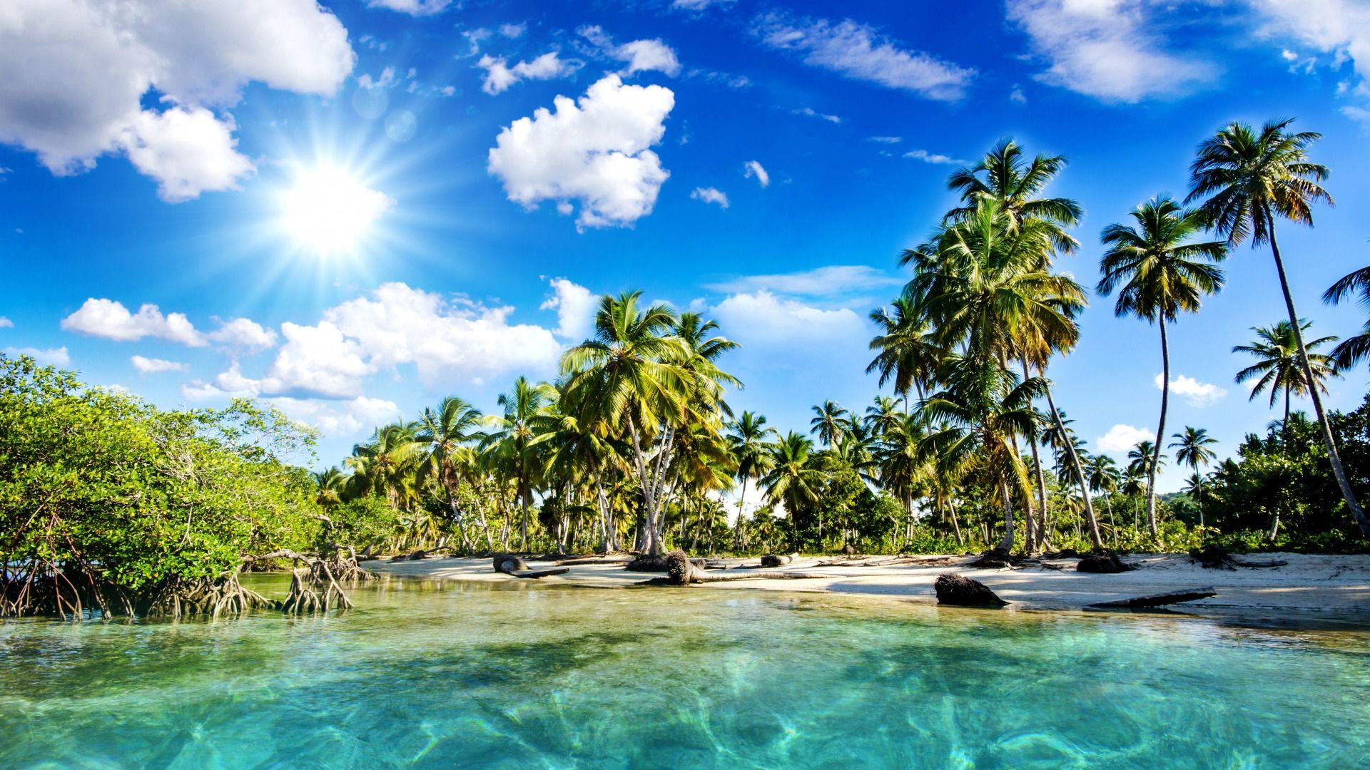 Spiaggia tropicale con palme, 1920x1080 Full HD 1080p, Laptop
