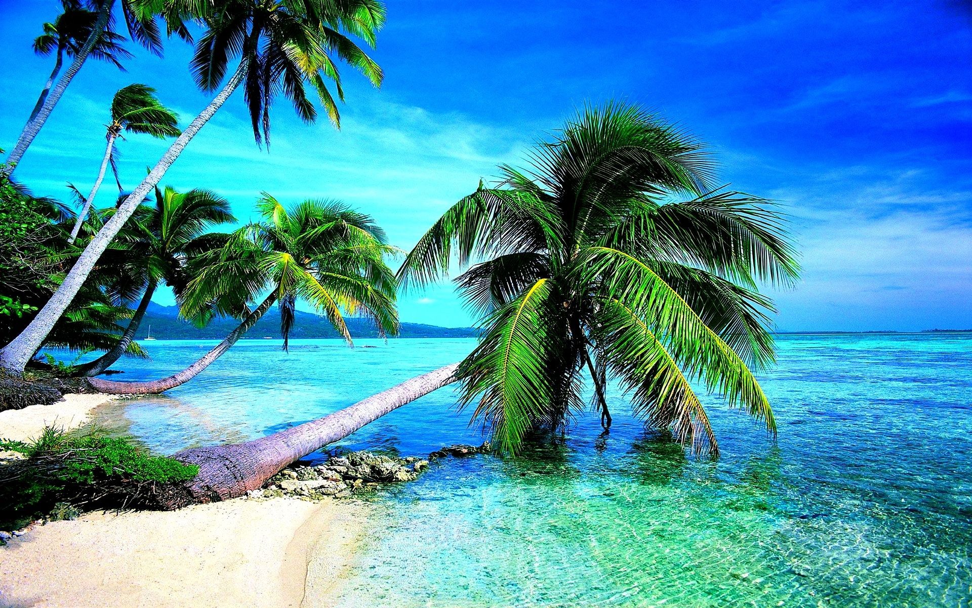 Palme tropicali spiaggia mare, 1920x1200 Full HD+, Desktop
