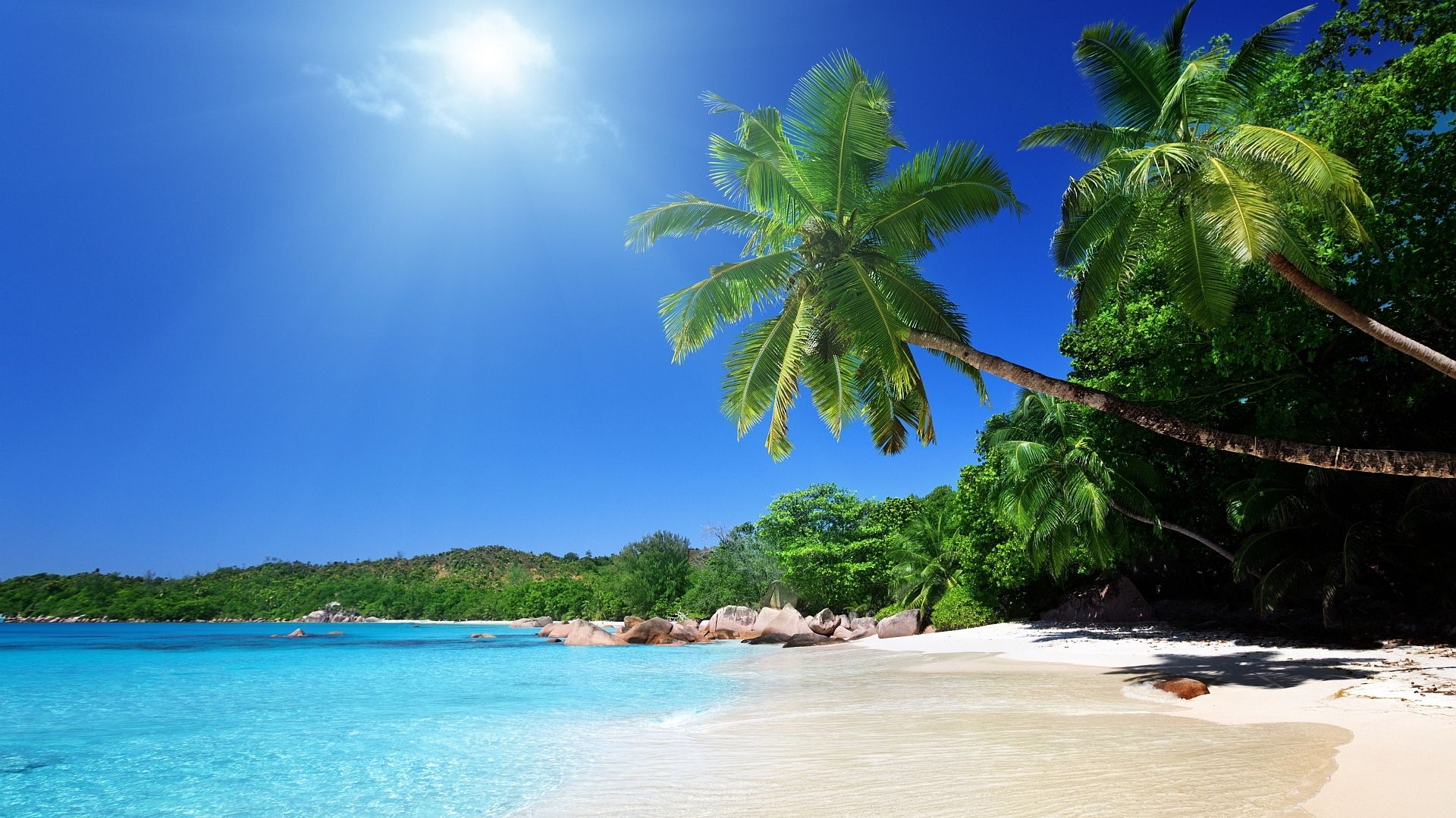 Spiaggia tropicale con palme, 1920x1080 Full HD, Laptop