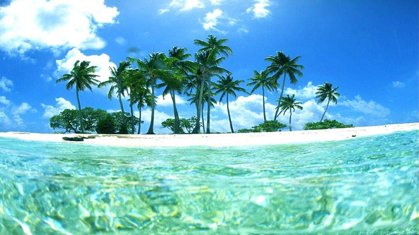 Isola tropicale con palme, 1366x768 HD, PC Desktop
