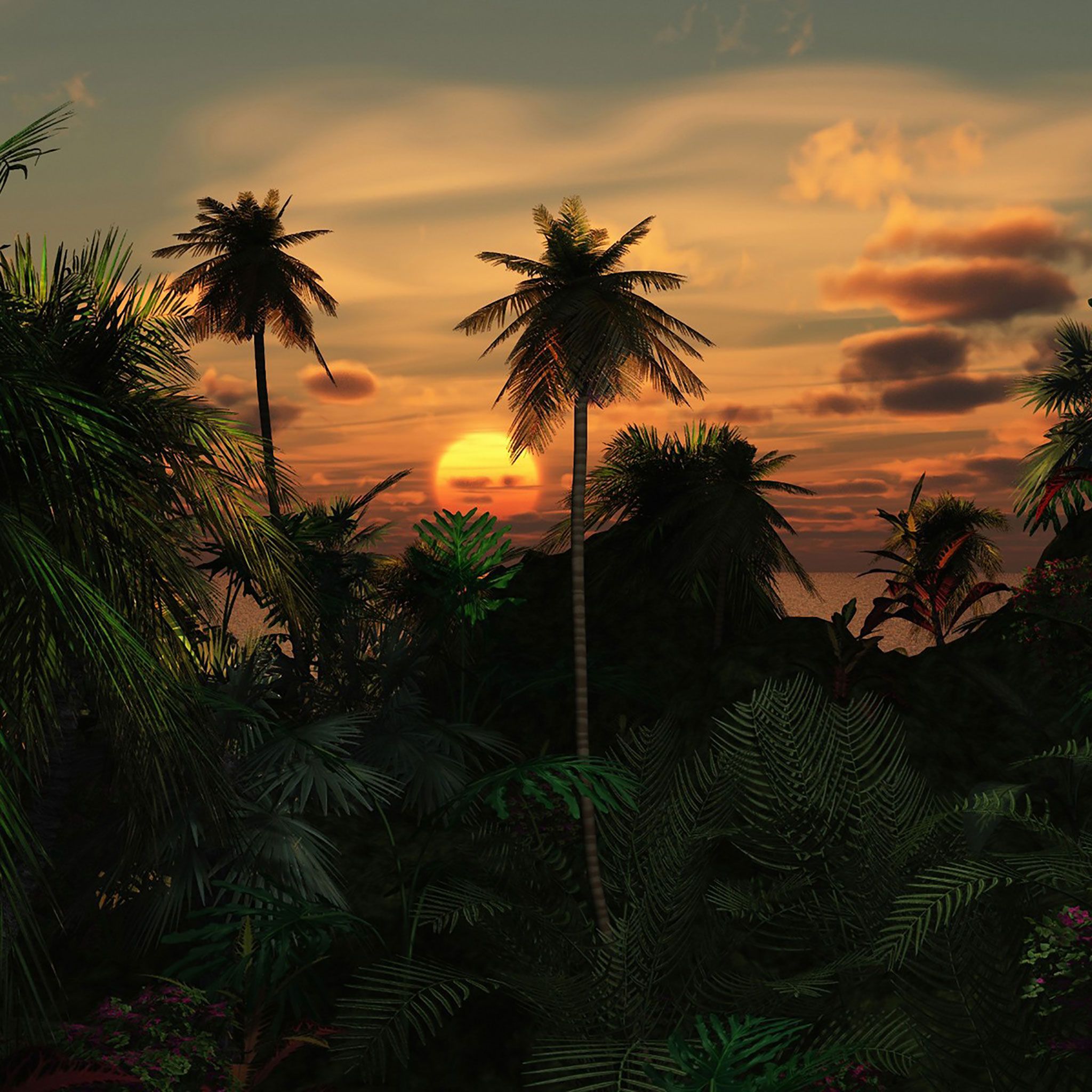 Tramonto tropicale con palme, 2048x2048 alta risoluzione, Desktop
