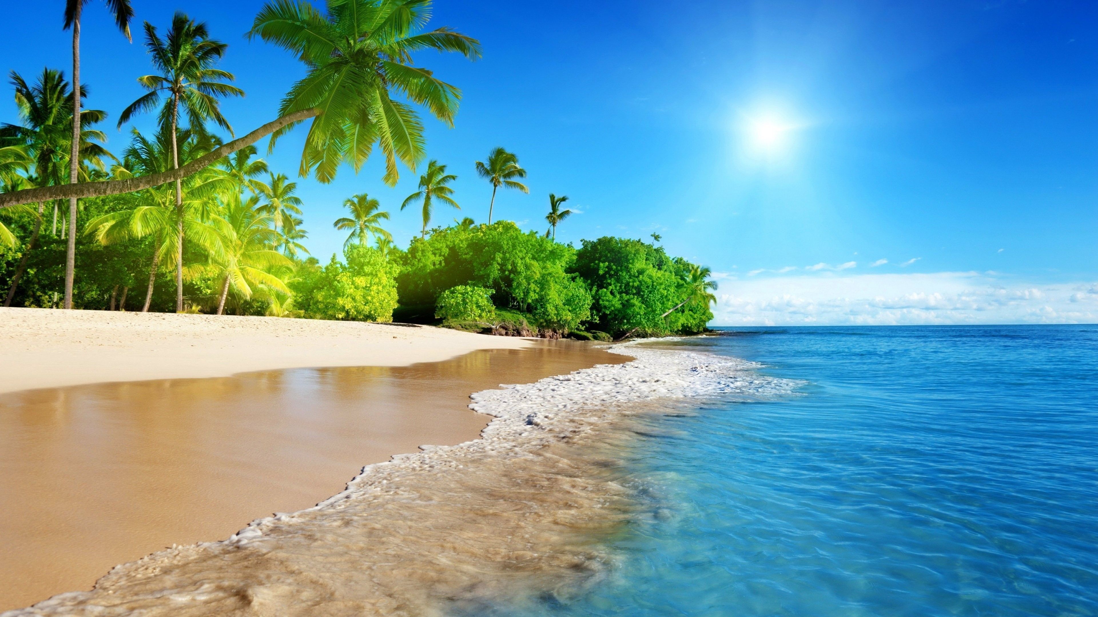 Spiaggia tropicale con palme, 3840x2160 4K, Desktop 4K