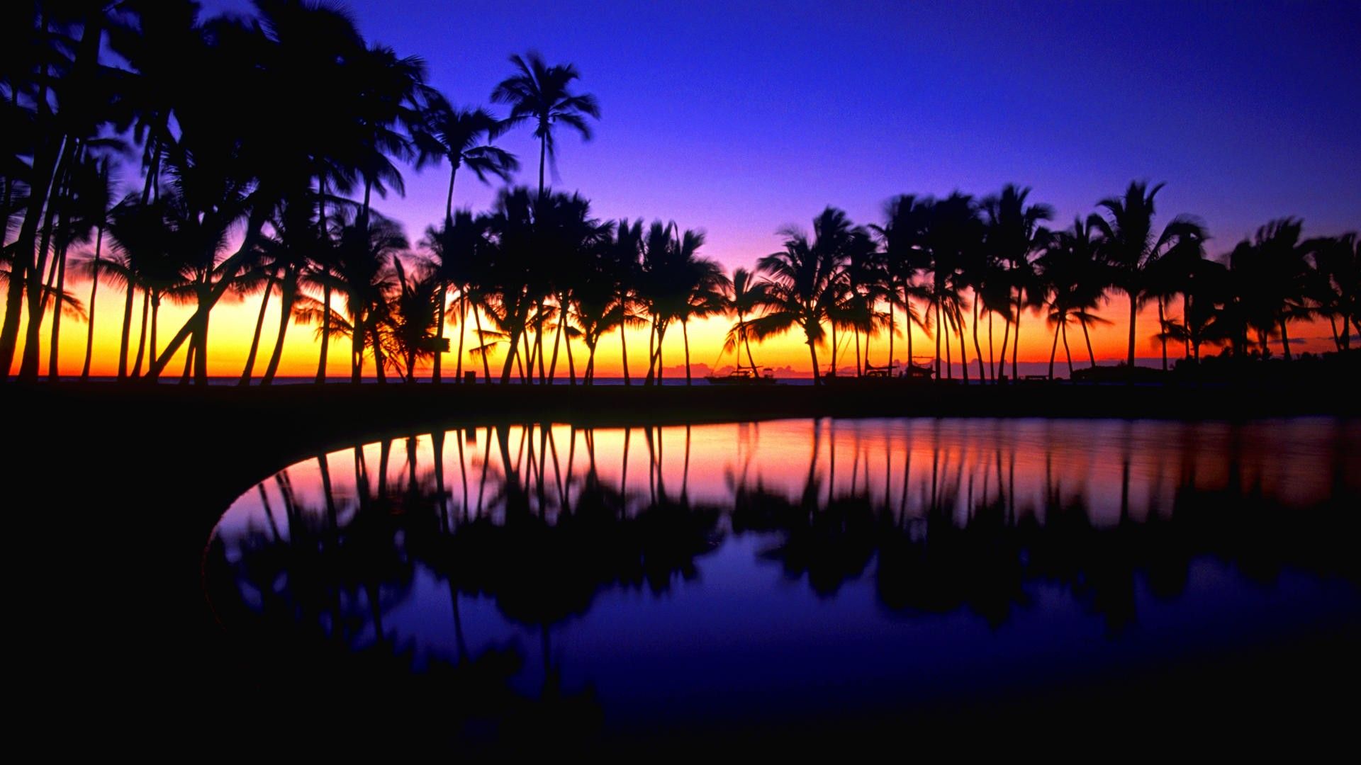 Palme al tramonto tropicale, 1920x1080 Full HD 1080p, PC Desktop