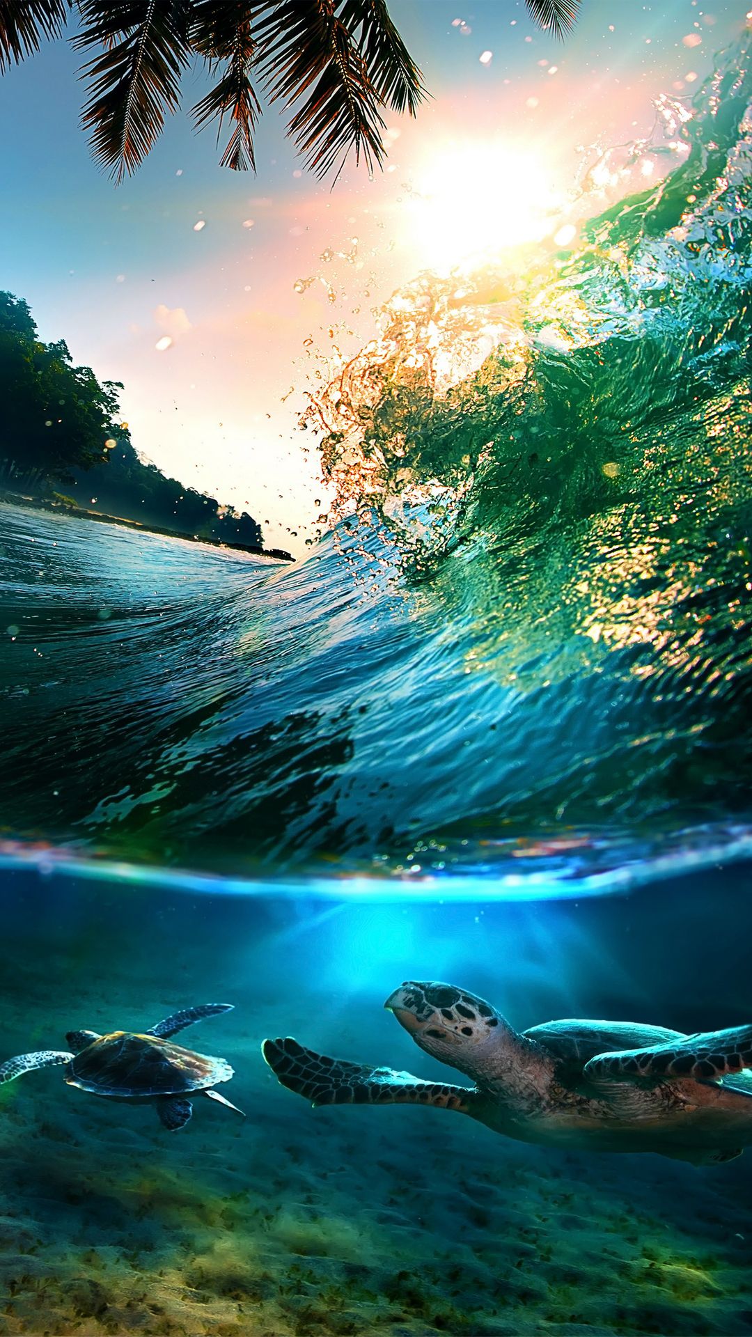 Tartarughe marine sotto onda tropicale, 1080x1920 Verticale, Telefono