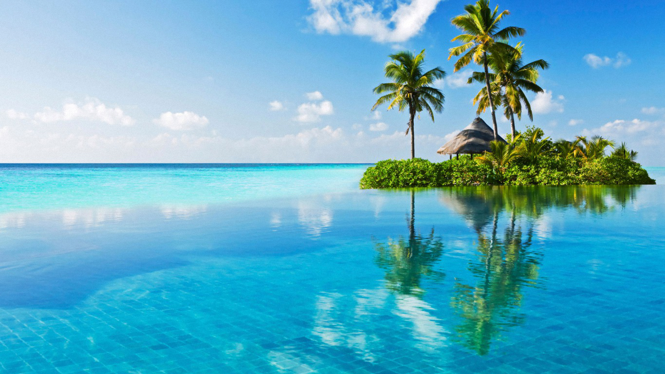 Isola tropicale con palme, 1366x768 720p, PC