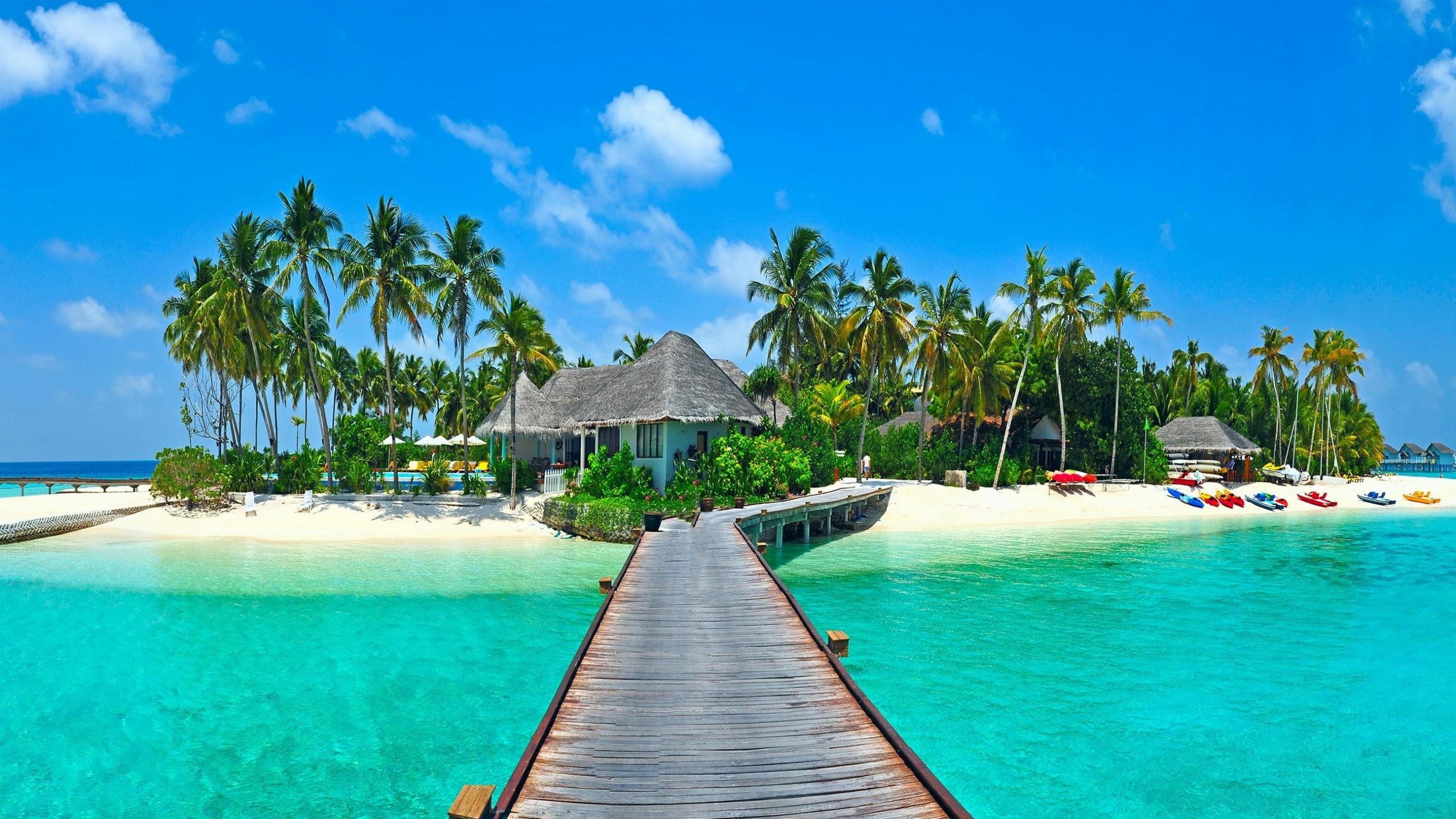 Isola tropicale con palme e molo, 2560x1440 1440p, Desktop