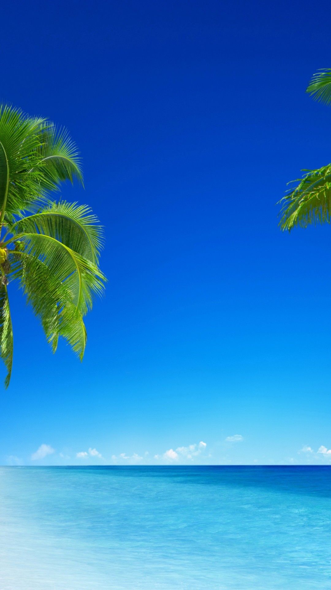 Palme e mare tropicale, 1080x1920 Full HD Verticale, Samsung Galaxy