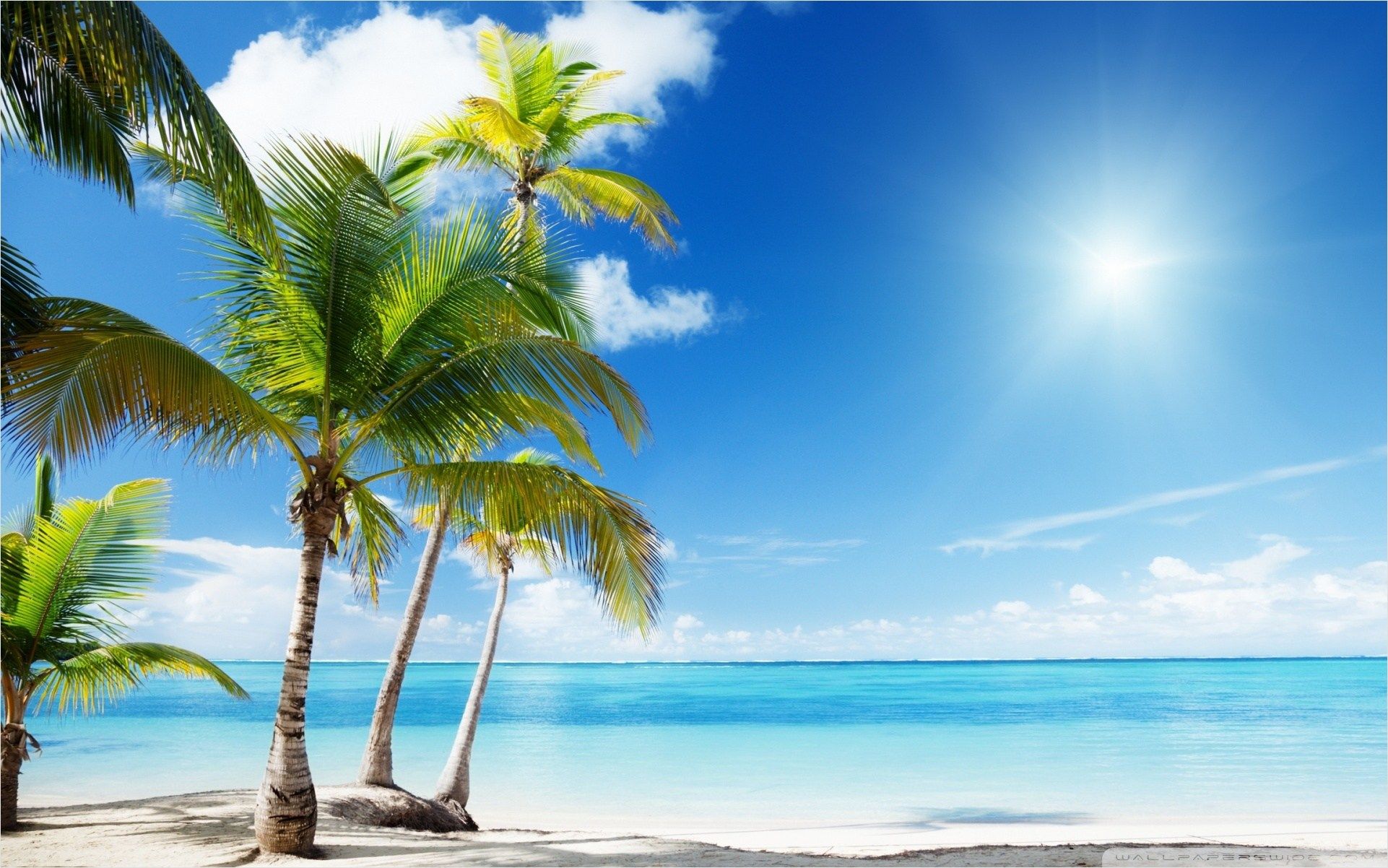 Palme spiaggia tropicale mare, 1920x1200 WUXGA, Desktop