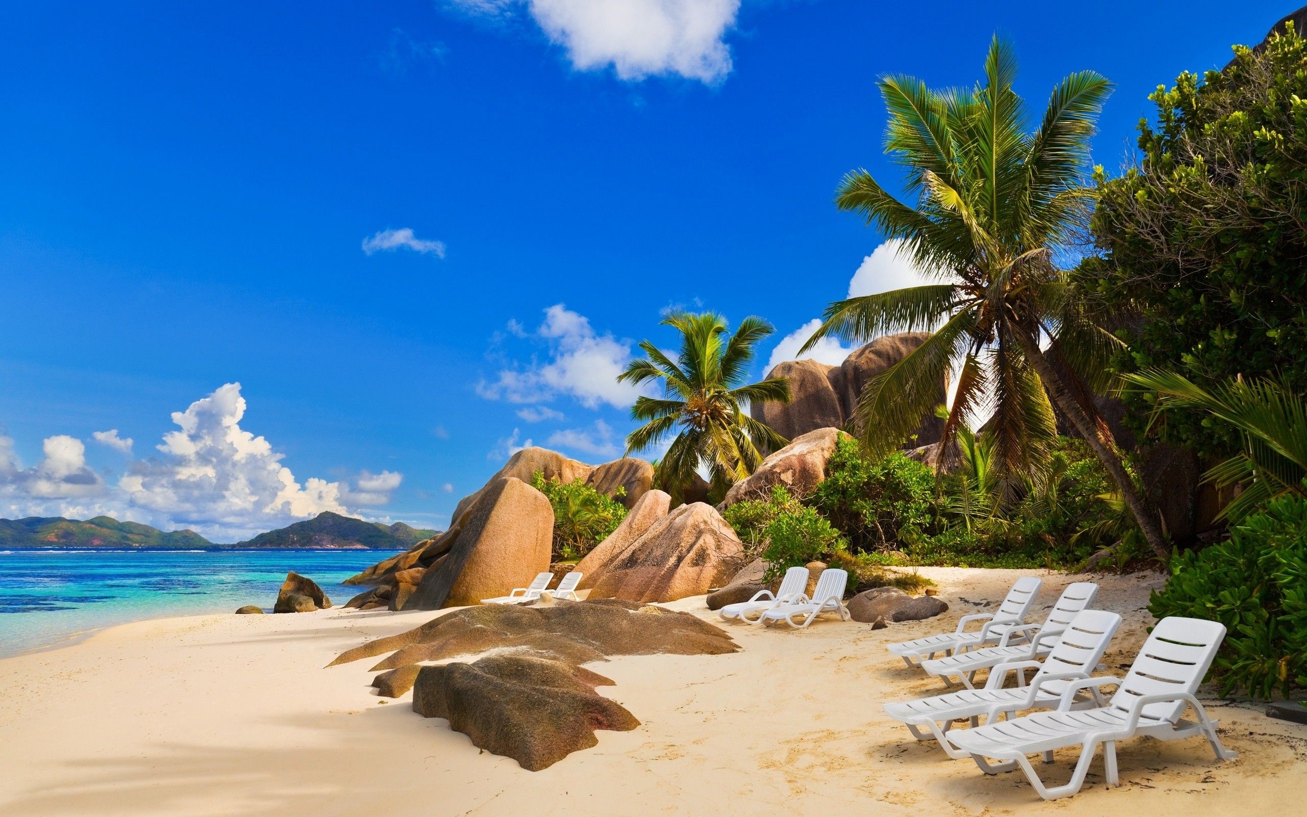 Spiaggia tropicale con palme e rocce, 2560x1600 2K, Desktop