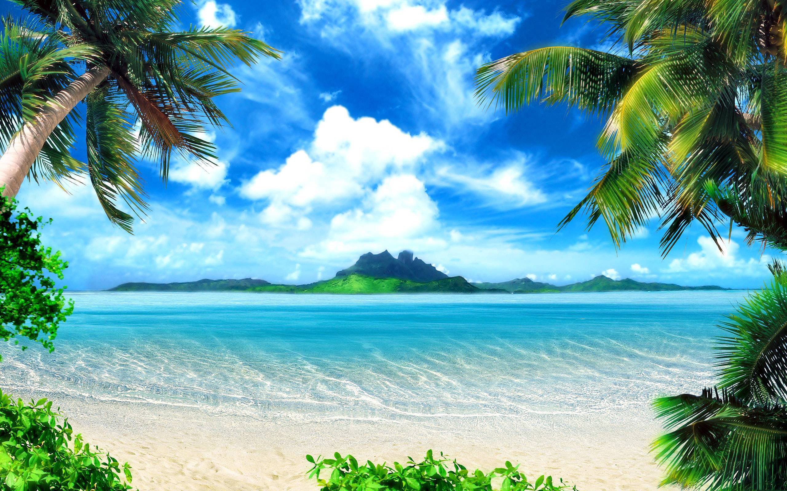 Spiaggia tropicale con palme, 2560x1600 2K+, PC