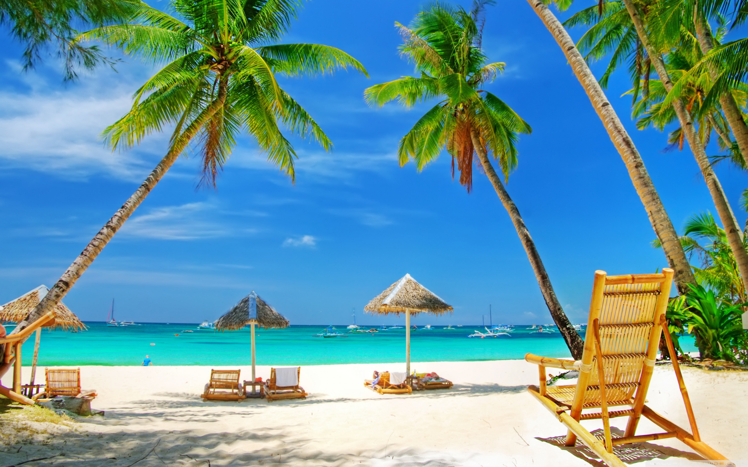 Spiaggia tropicale con palme, 2880x1800 WQXGA, PC