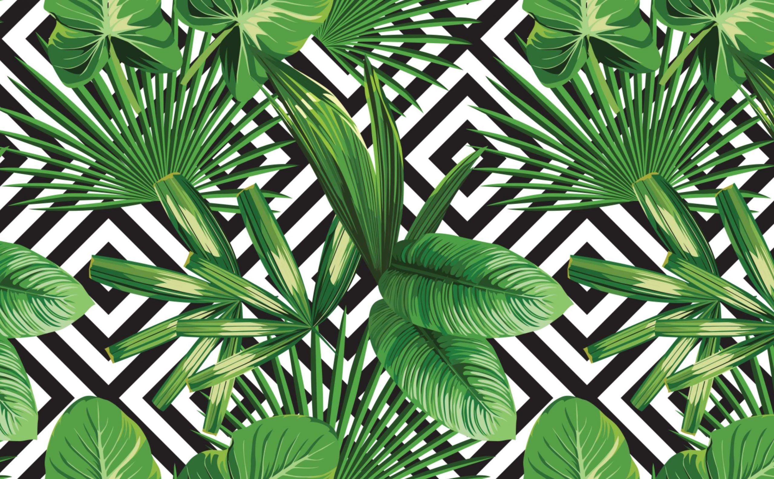 Foglie tropicali su geometrico bianco/nero, 2560x1583 2K QHD, PC