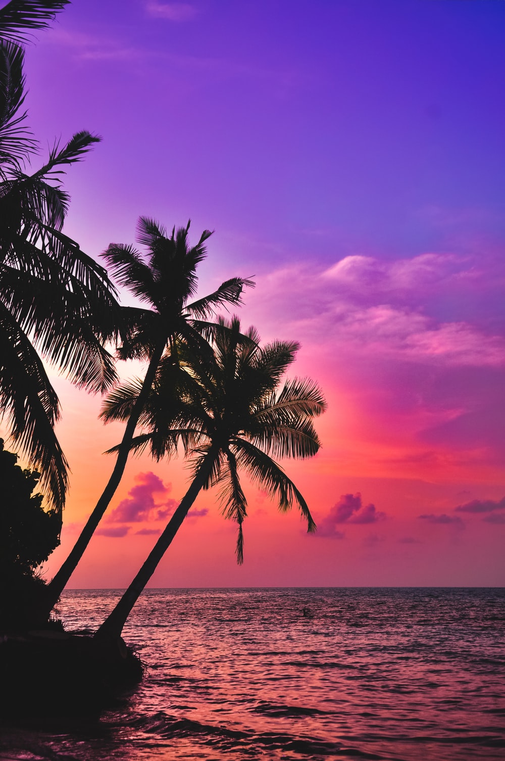 palme tramonto oceano, 1000x1506 Verticale, Android