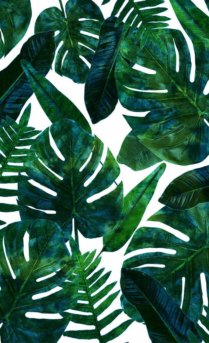 Foglie tropicali verdi acquerello, 700x1149 Verticale, Mobile