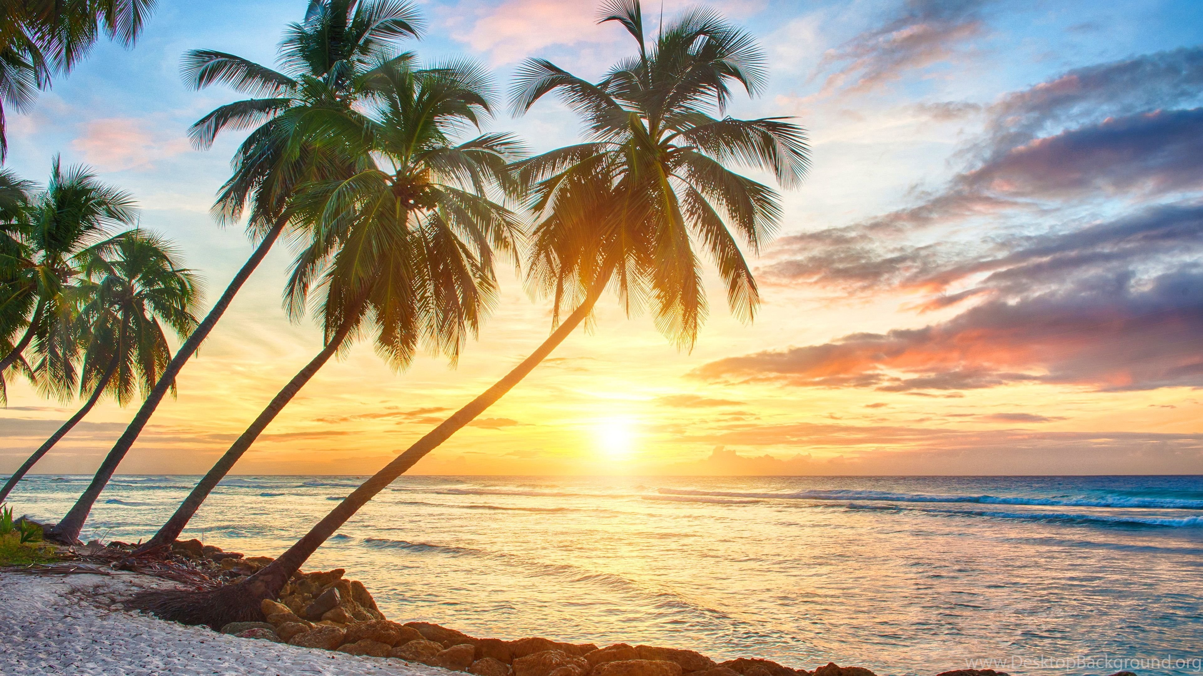 Palme tramonto spiaggia tropicale, 3840x2160 UHD, PC 4K