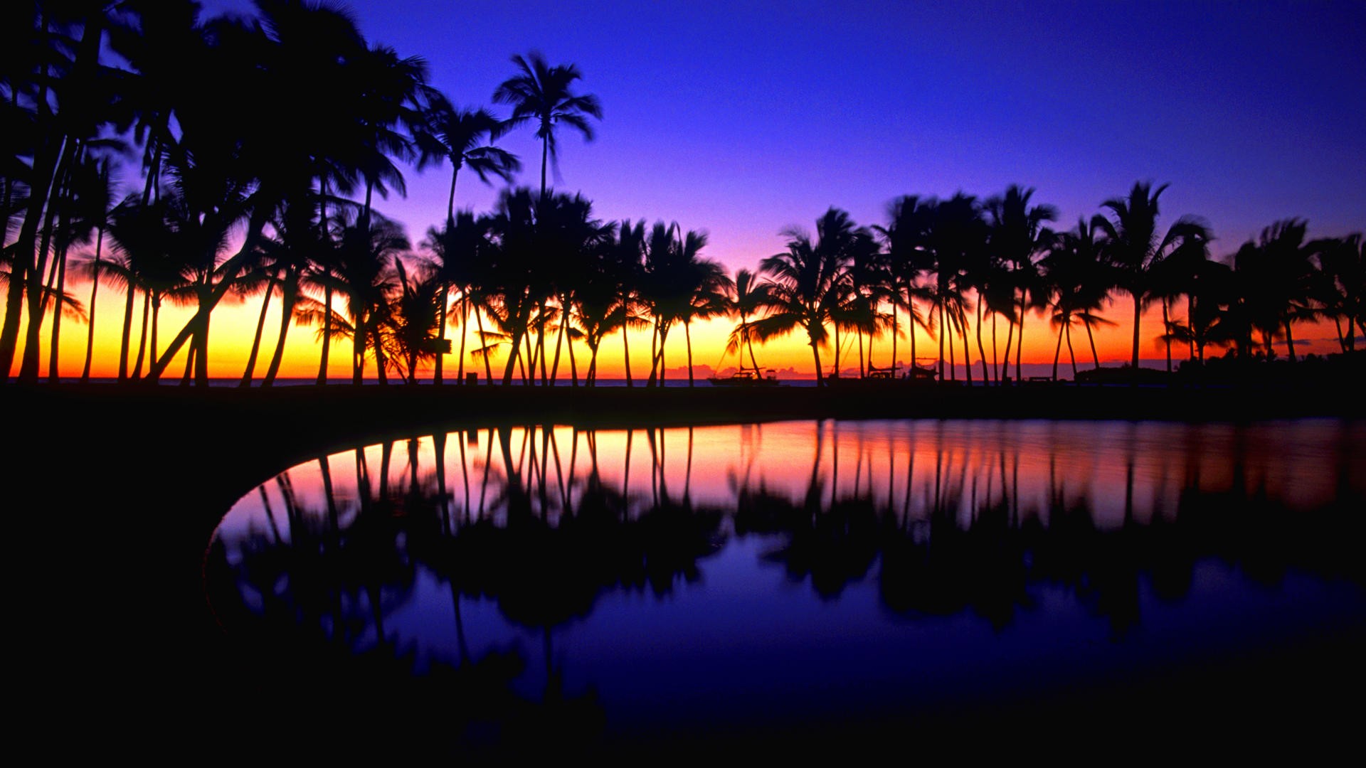Palme tropicali al tramonto, 1920x1080 1080p, PC Desktop