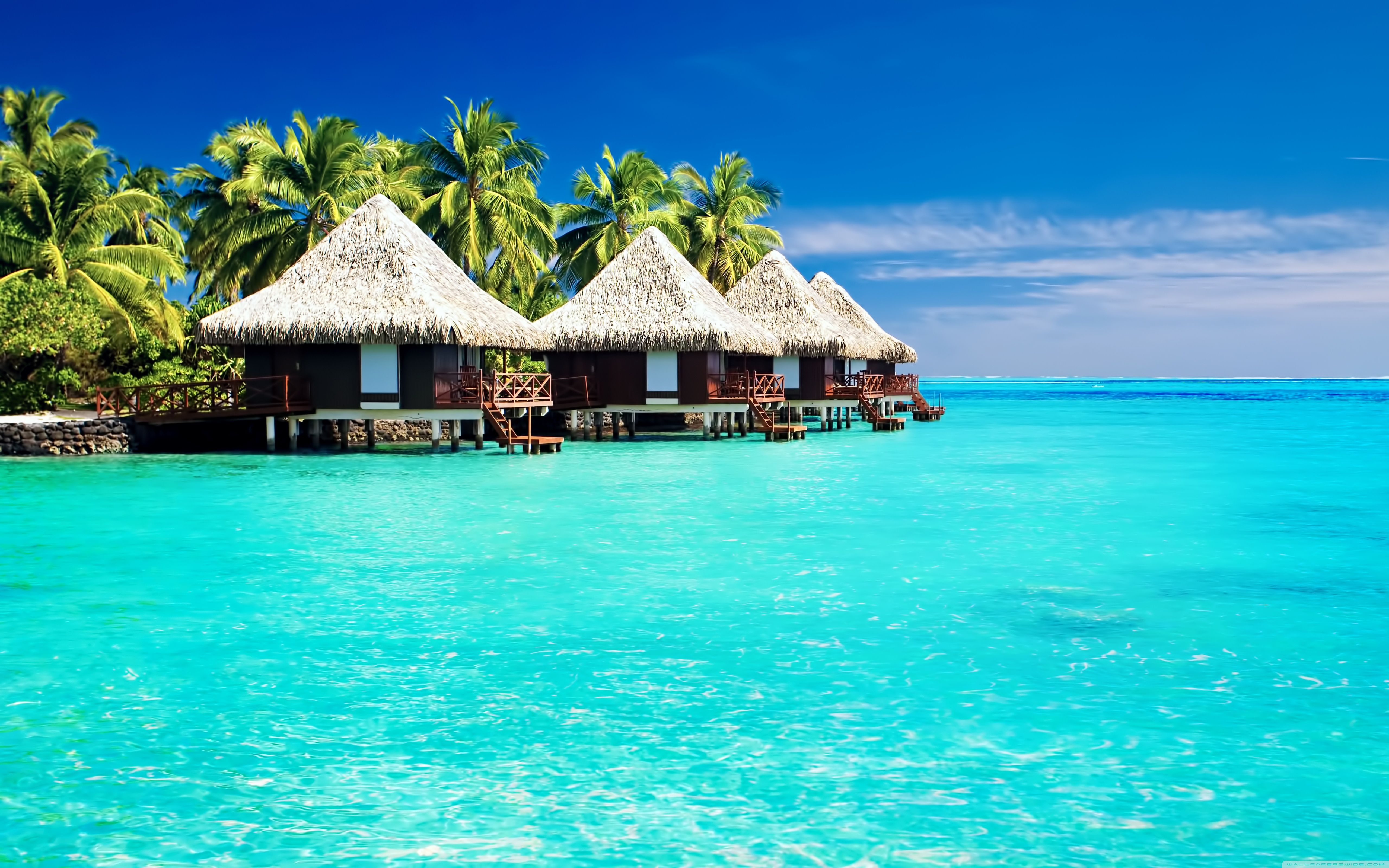Bungalow tropicali su acqua turchese, 5120x3200 4K, Desktop 4K