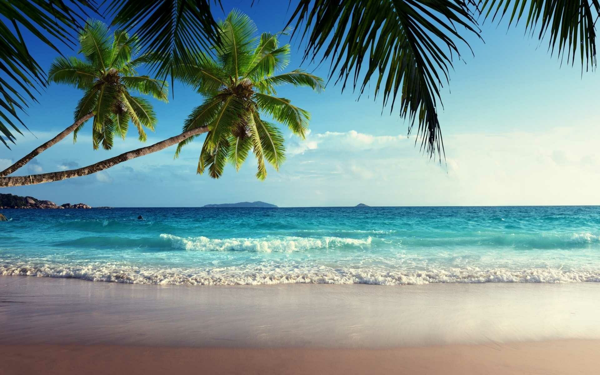 Spiaggia tropicale con palme, 1920x1200 Full HD+, Desktop