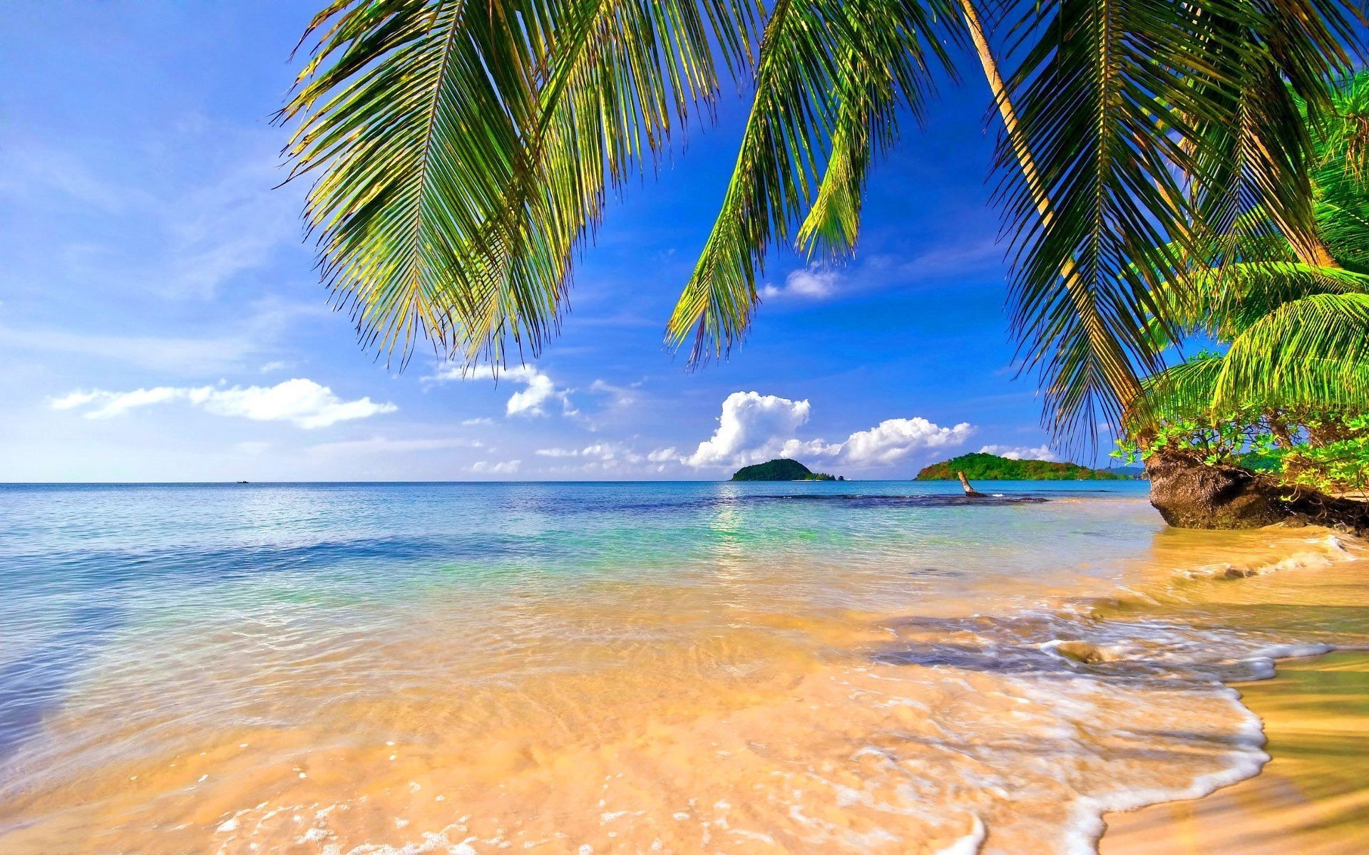 Spiaggia tropicale con palme, 1920x1200 Full HD+, Desktop