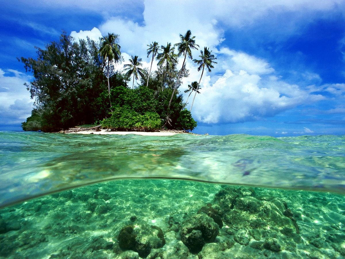 Isola tropicale con palme, 1200x900 HD, PC