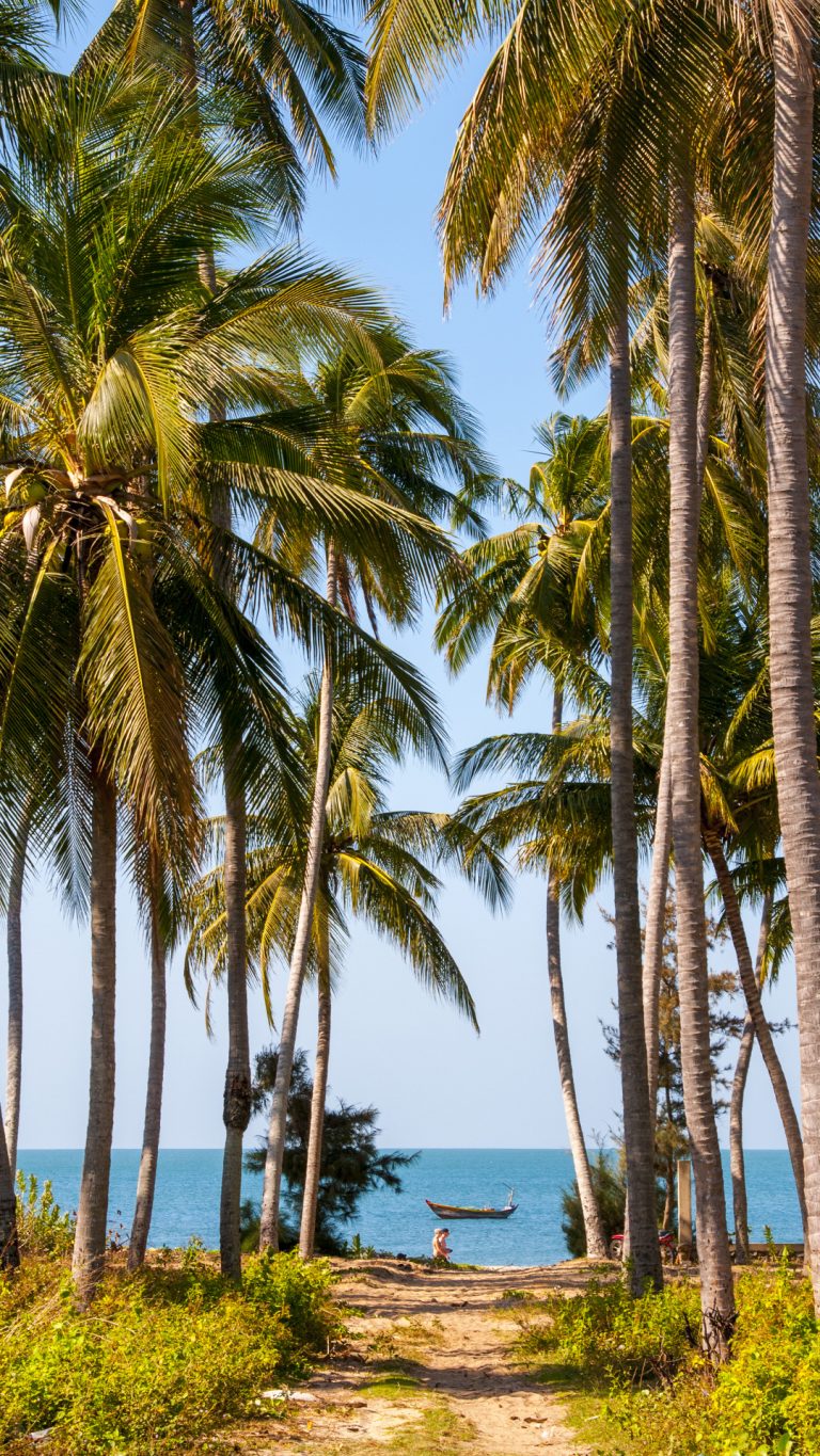 Palme tropicali spiaggia mare, 768x1365 Full HD Verticale, Smartphone