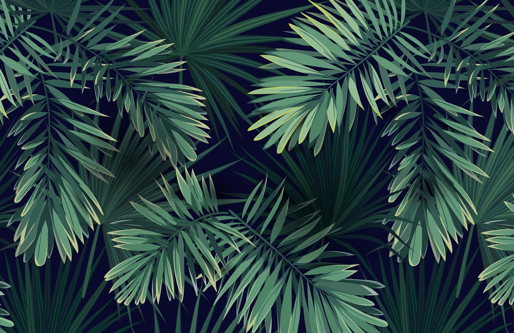 Foglie di palma tropicali verdi, 1650x1070 900p, Laptop