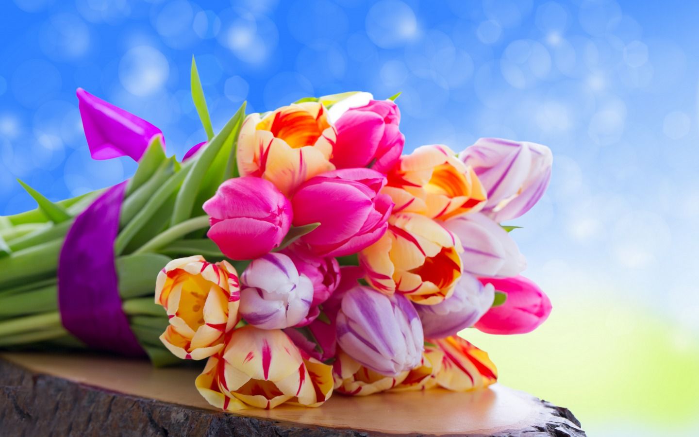 Bouquet di tulipani colorati, 1440x900 720p, PC