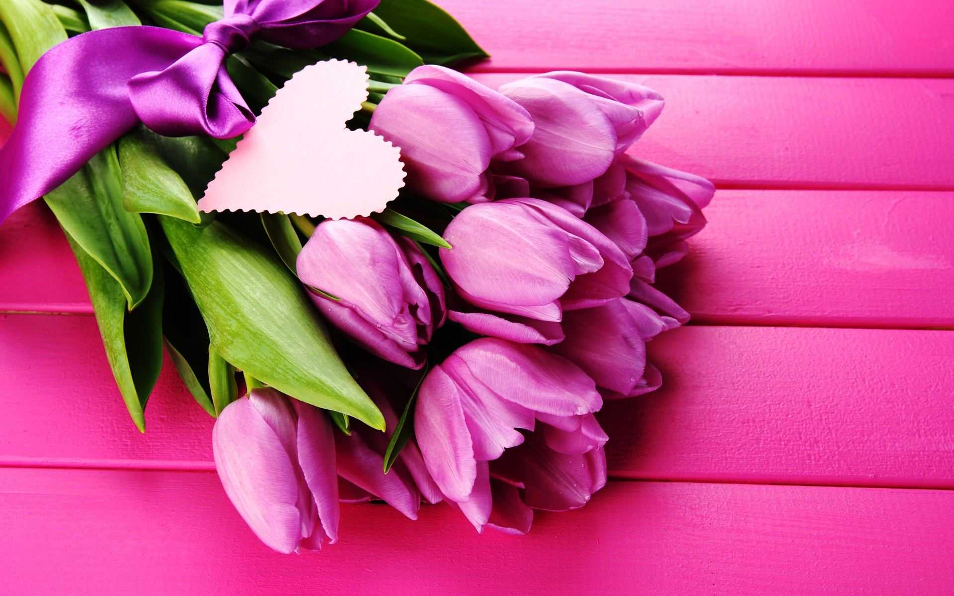 Tulipani viola su legno rosa, 1920x1200 WUXGA, Desktop