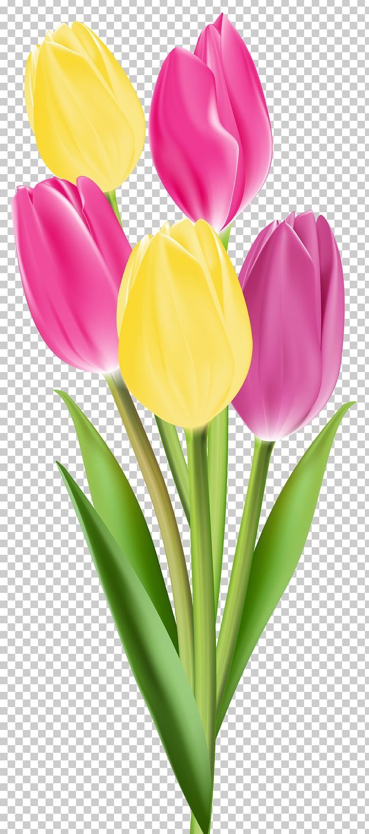 Bouquet tulipani rosa e gialli, 728x1643 Full HD Verticale, iPhone