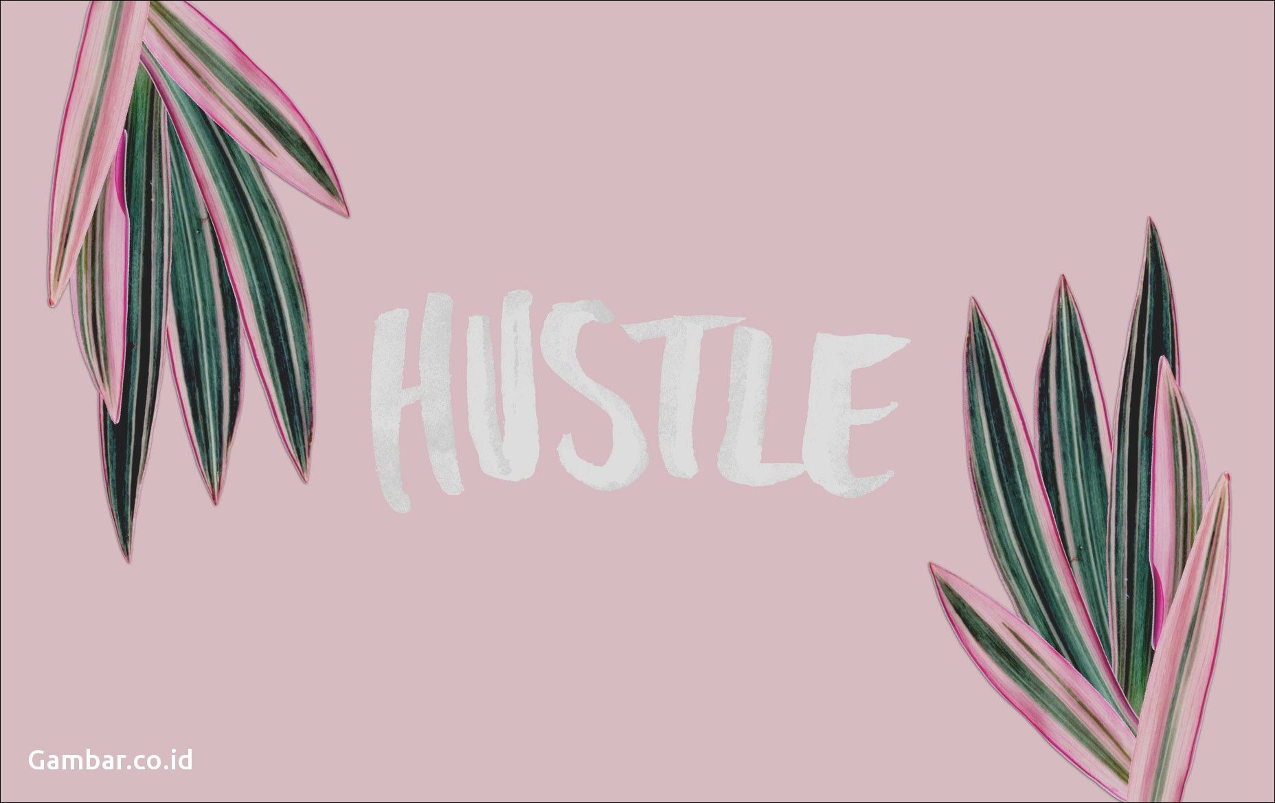 Foglie rosa scritta hustle, 1856x1170 900p, PC