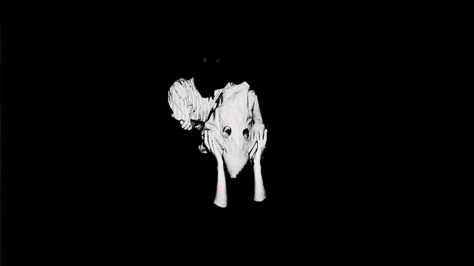 cranio animale sfondo nero, 1920x1080 Full HD 1080p, Monitor Gaming