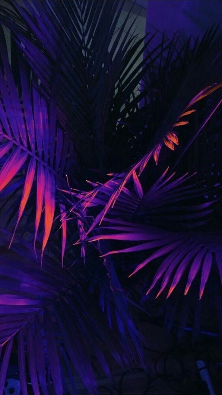 Foglie di palma viola neon, 736x1309 Verticale, Android