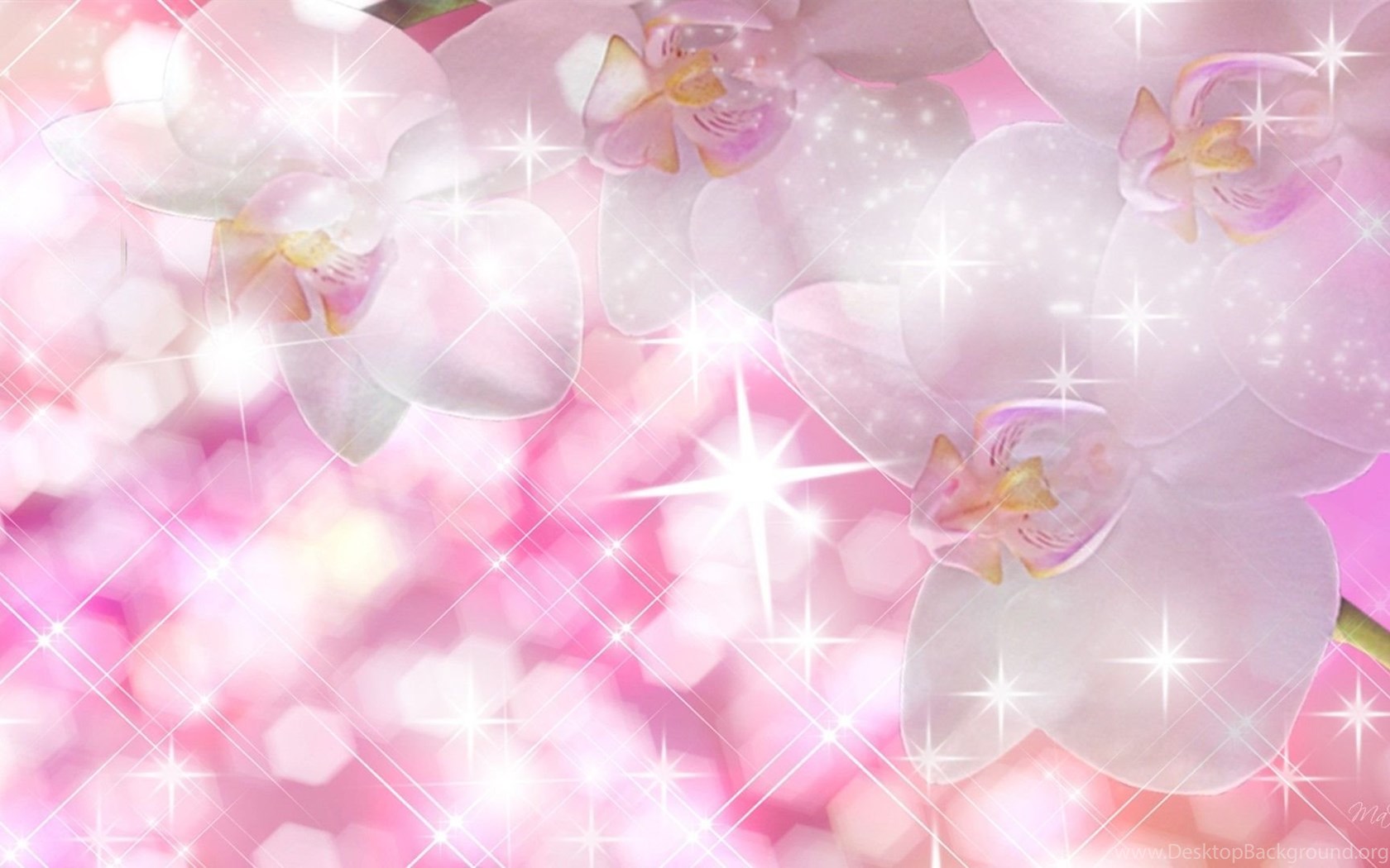 Fiori rosa con glitter, 1680x1050 HD Ready, Desktop