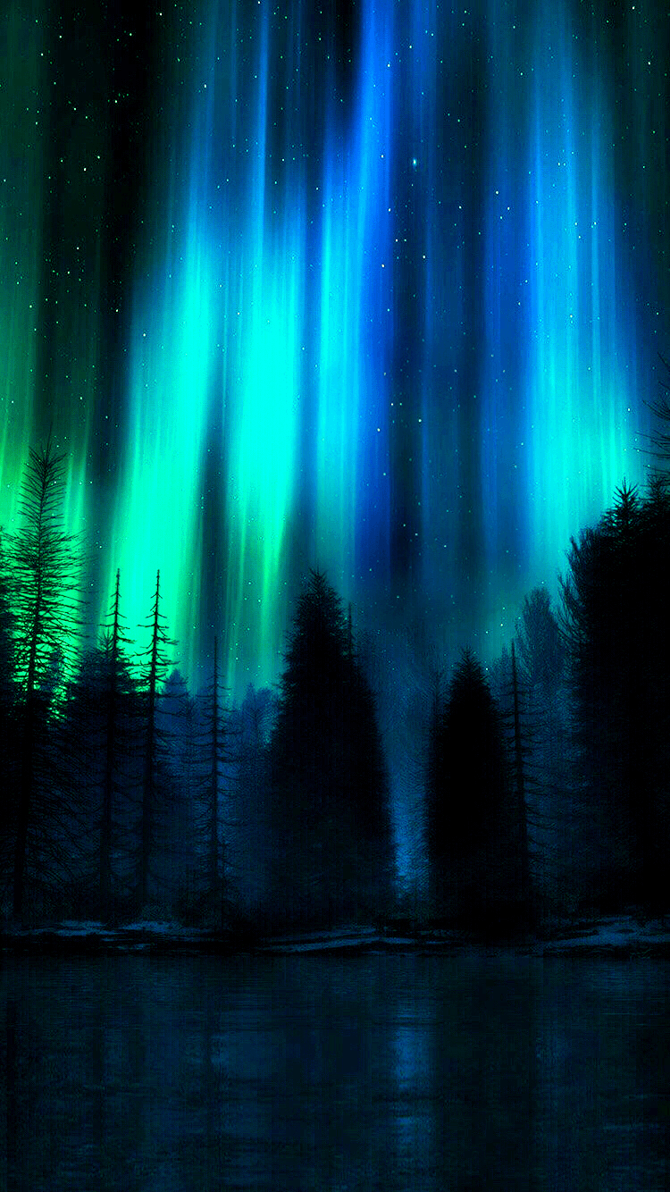 Aurora boreale turchese, foresta notturna, 750x1334 Verticale, Mobile
