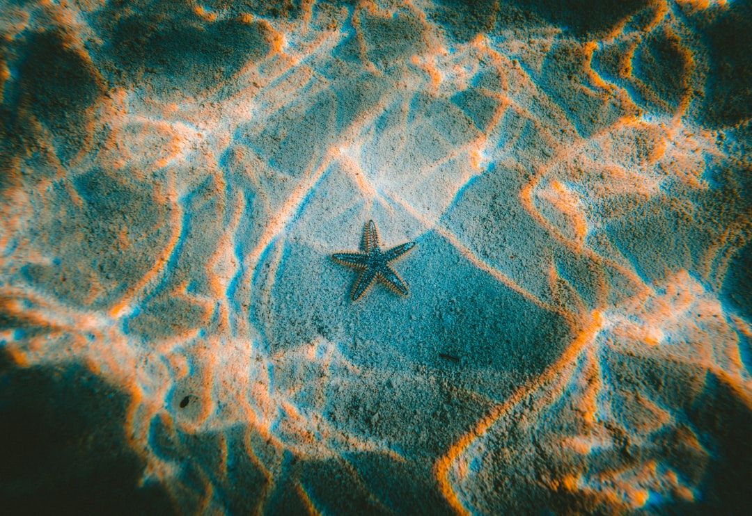 Stella marina in acqua turchese, 1080x742 HD, PC Desktop