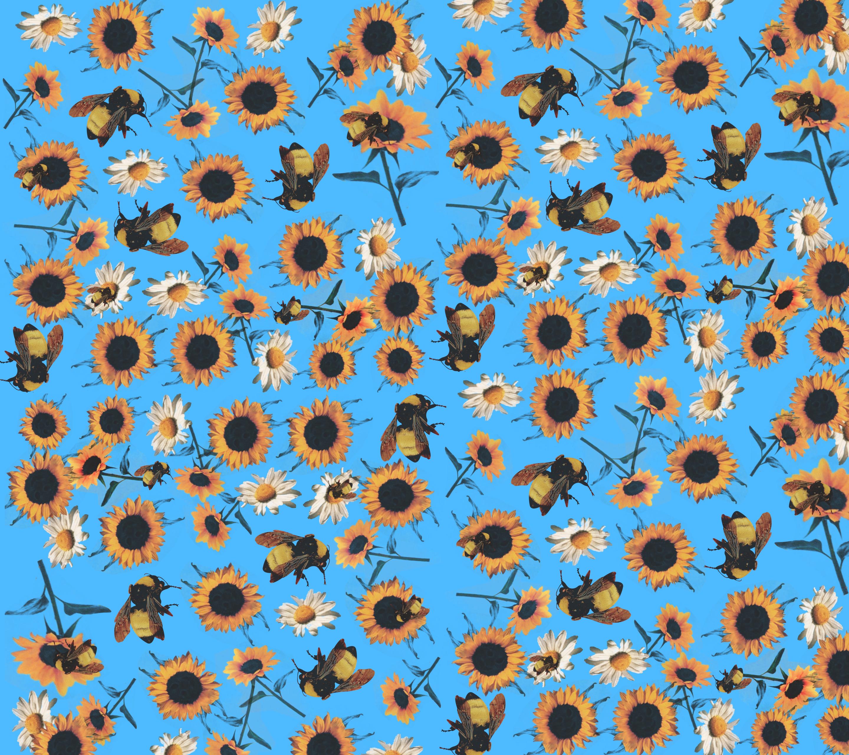 Save the Bees testo arancione, 708x1280 Full HD Verticale, iPhone Air