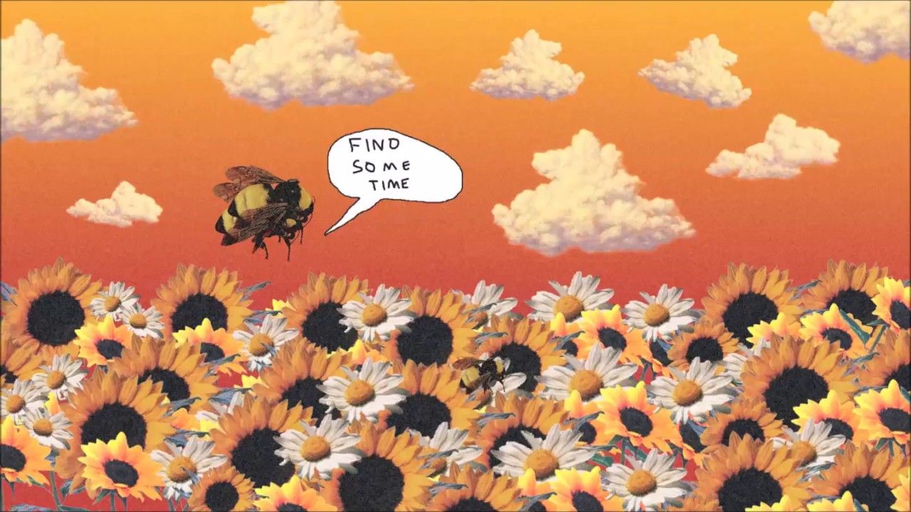 Tyler the Creator berretto Supreme, streetwear, 1920x1080 1080p, Desktop