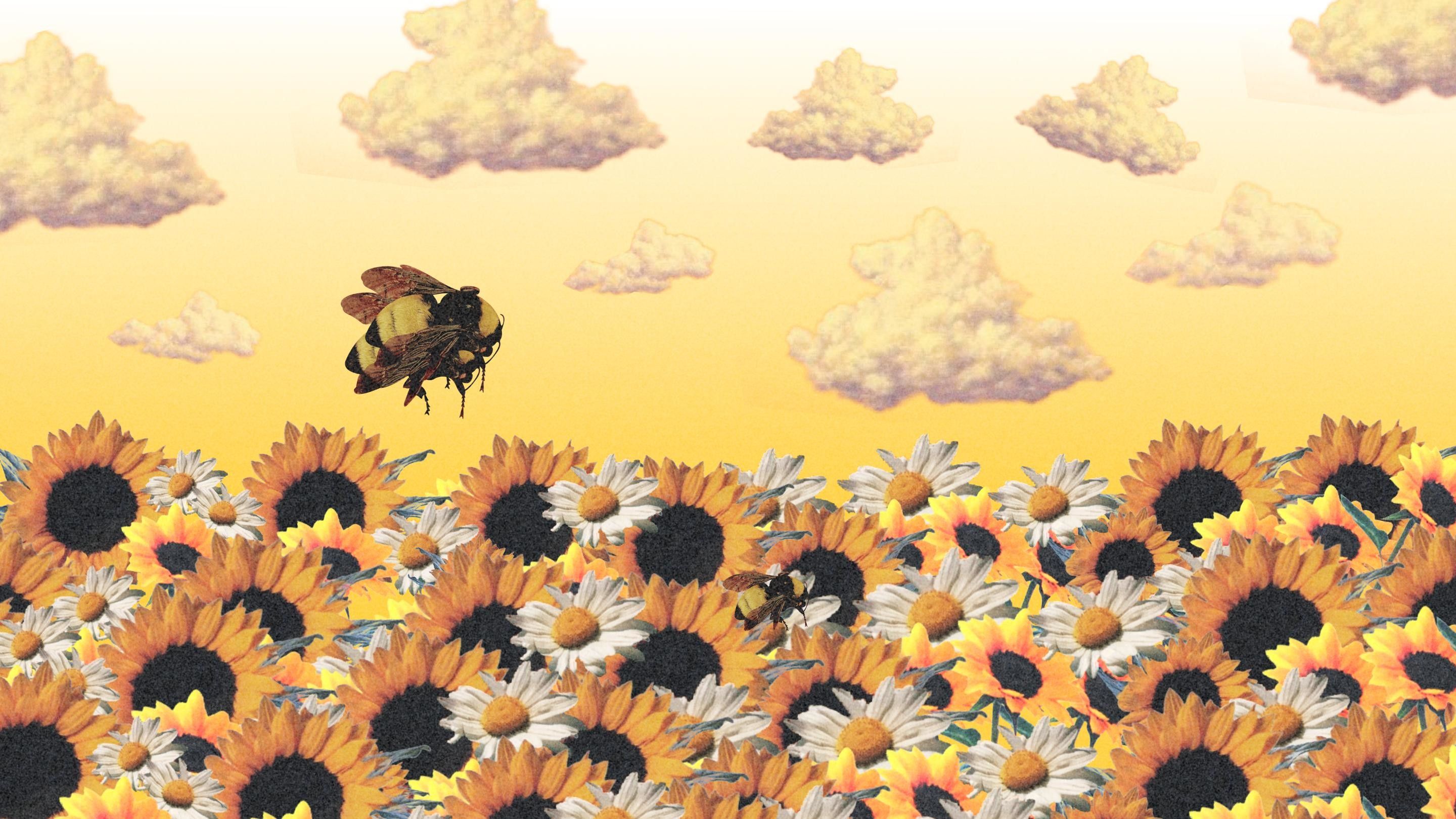 Ape su campo di girasoli, 2880x1620 2K, Desktop
