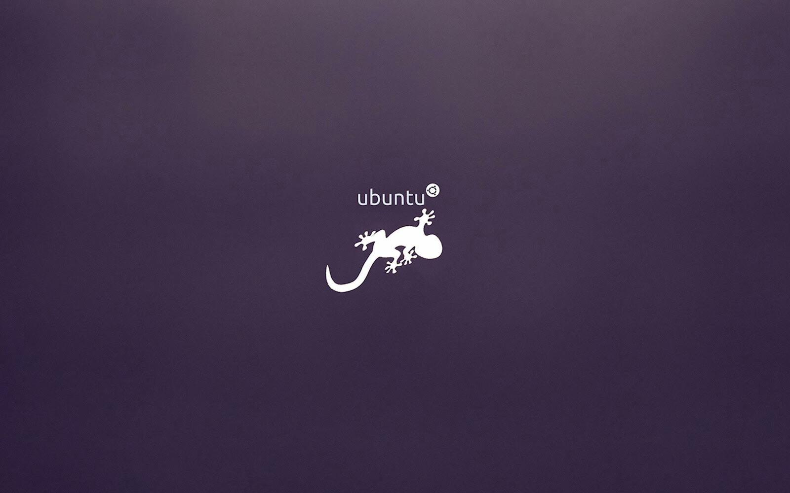 Logo Ubuntu geco viola, 1600x1000 HD, Laptop