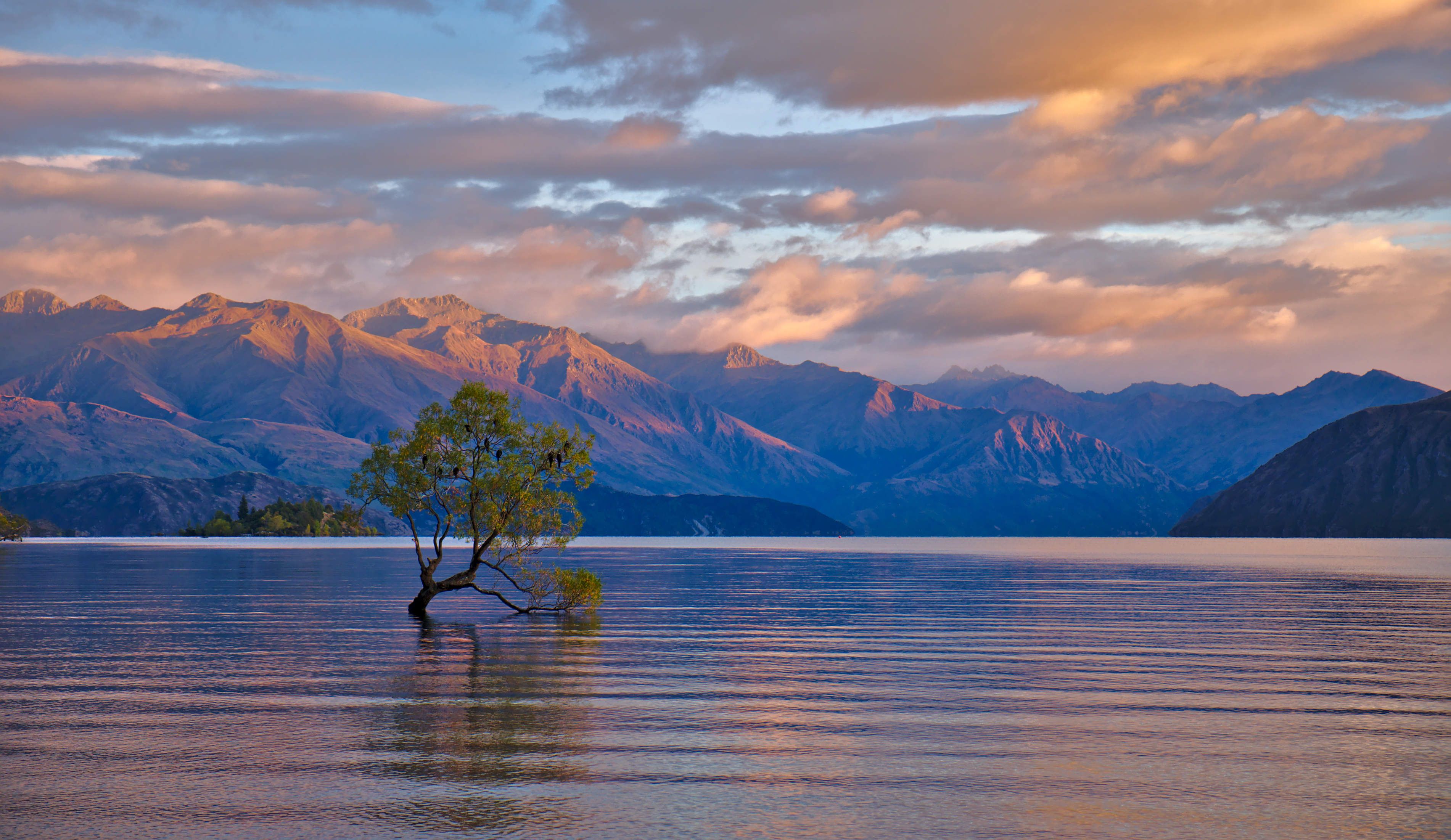 Lago Wanaka albero solitario, 3804x2203 2K+, PC