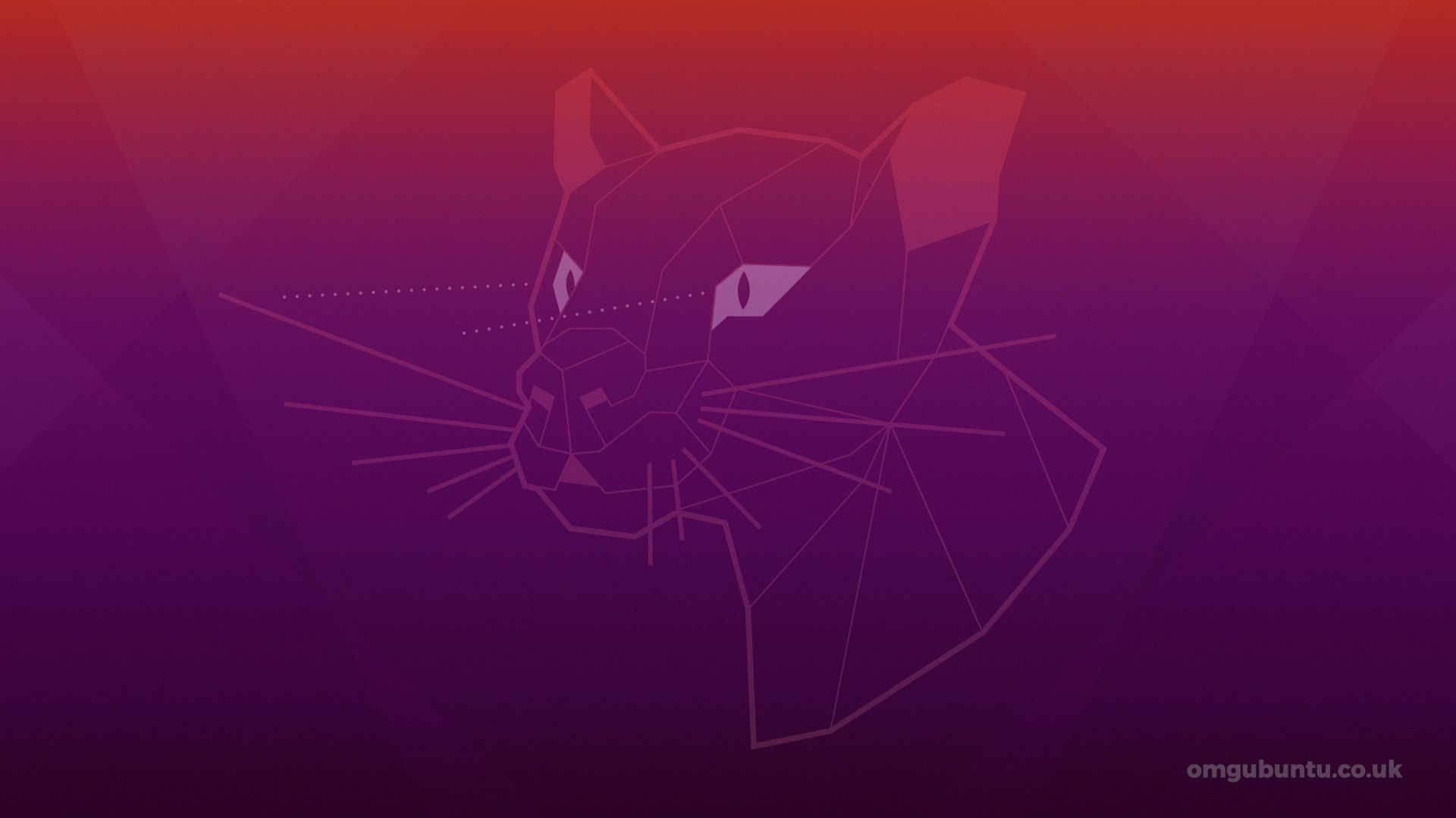 Logo Ubuntu stilizzato gatto, 1920x1080 1080p, Laptop